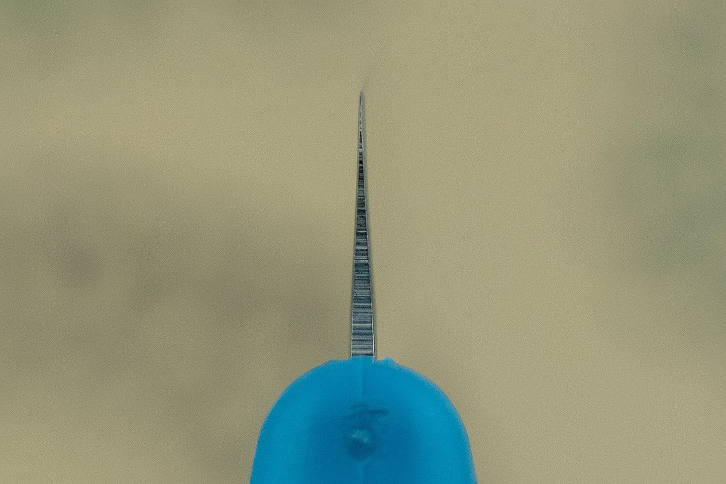 TOJIRO Child's Santoku from Tojiro