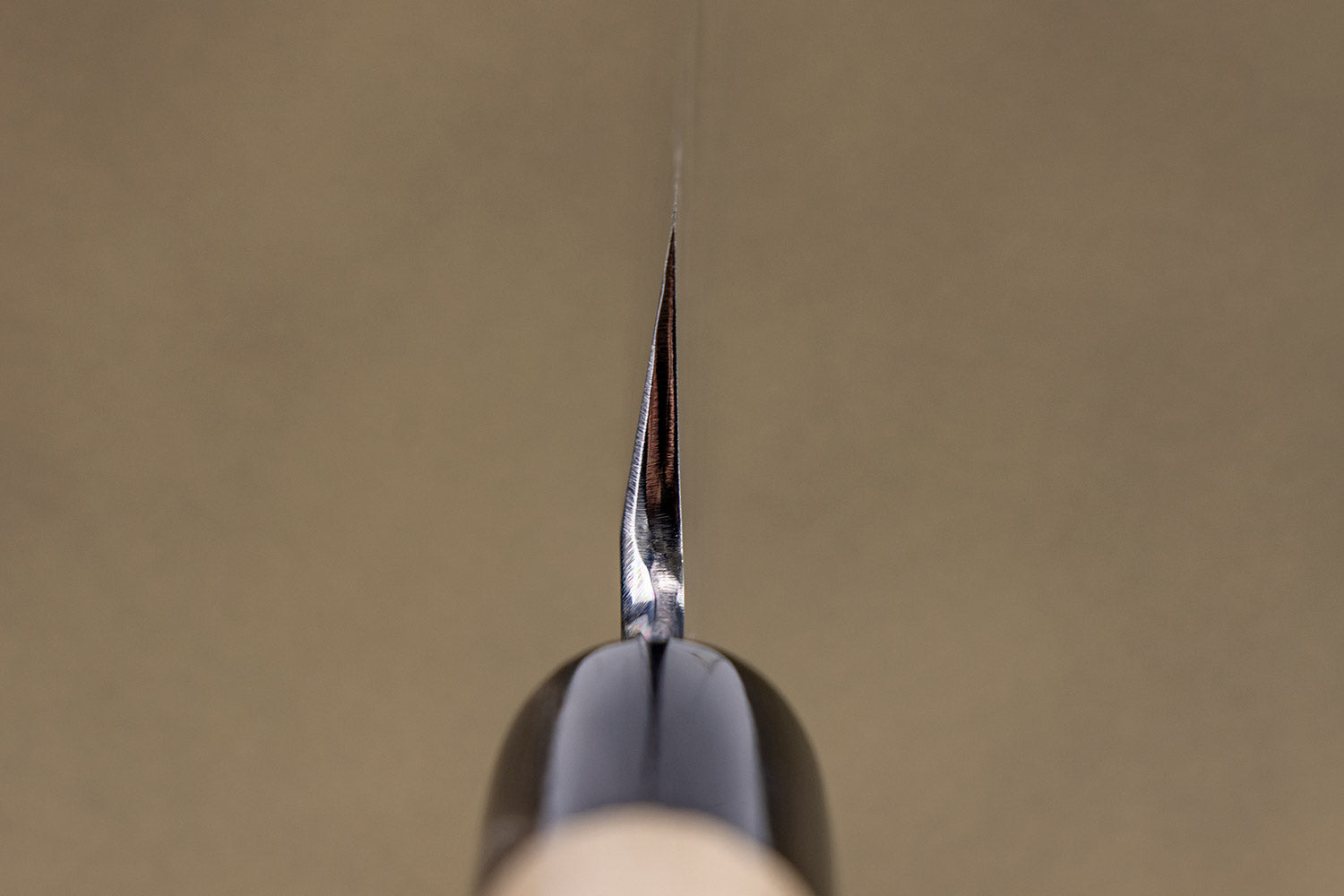Sakai Kikumori Tomoshibi Yanagiba 240mm from Sakai Kikumori