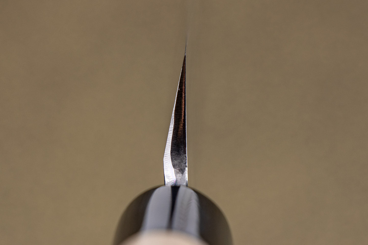 Sakai Kikumori Tomoshibi Yanagiba 300mm from Sakai Kikumori