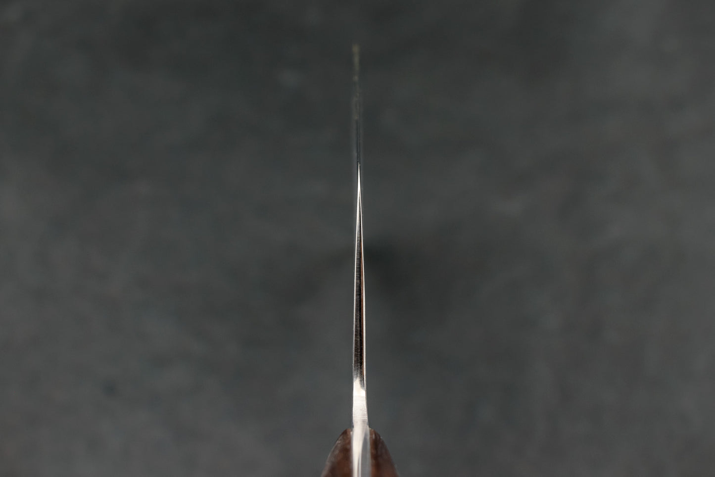 Anryu Hamono Katsukiri Bocho 300mm from Anryu Hamono