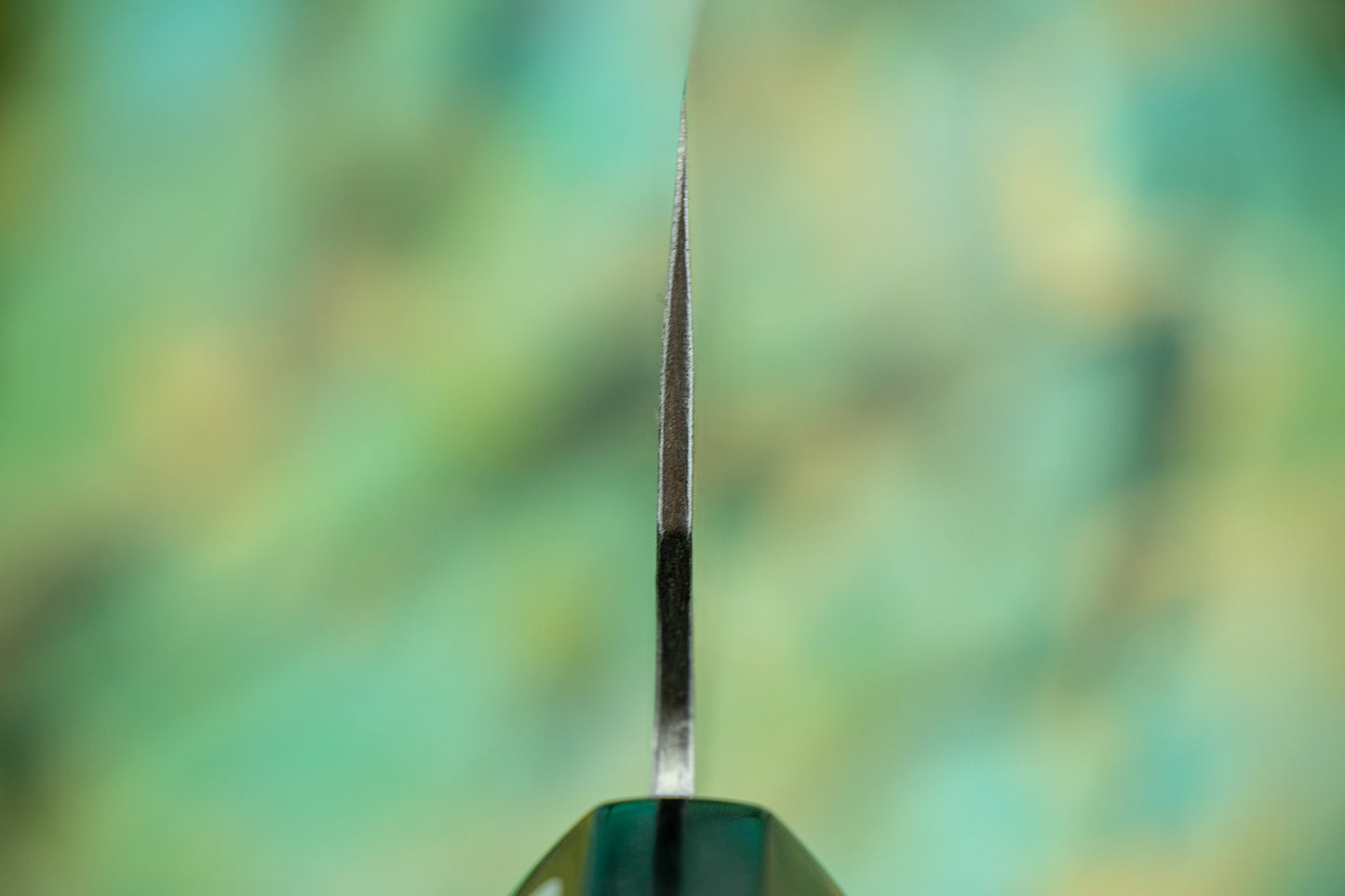 Fujiwara Wa Denka Gyuto 240mm from Teruyasu Fujiwara