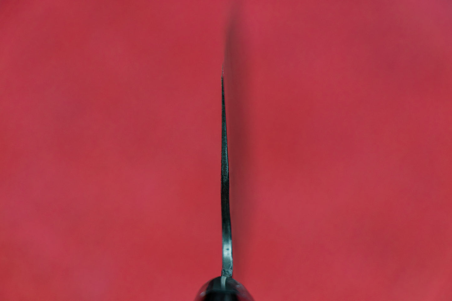 Fujiwara Maboroshi Nakiri 150mm from Teruyasu Fujiwara