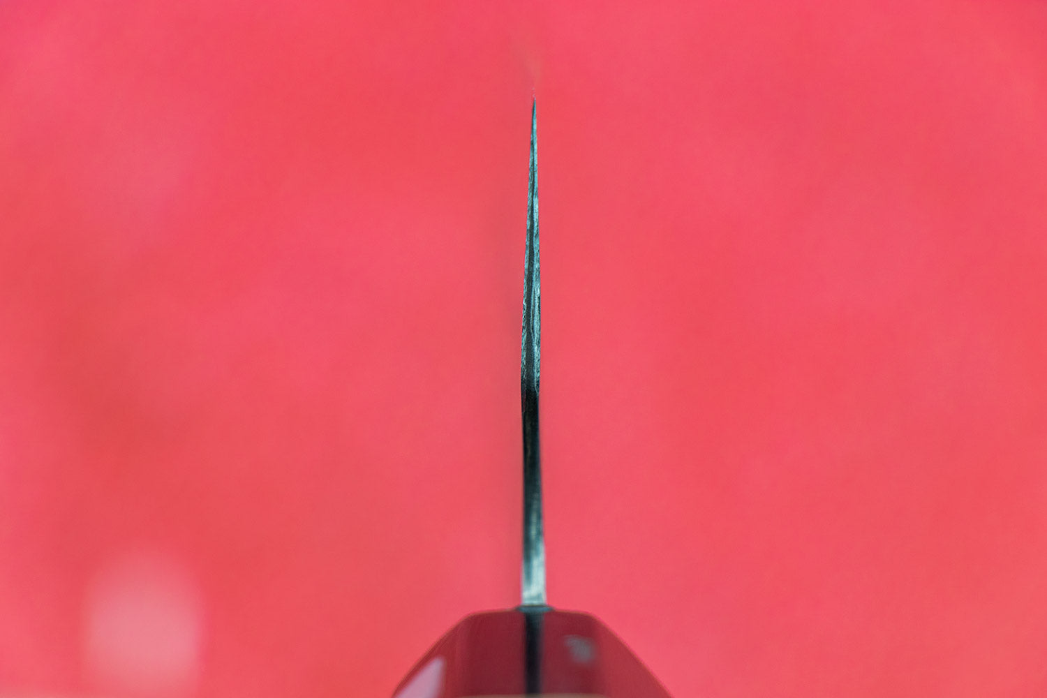Fujiwara Maboroshi Wa Gyuto 240mm from Teruyasu Fujiwara