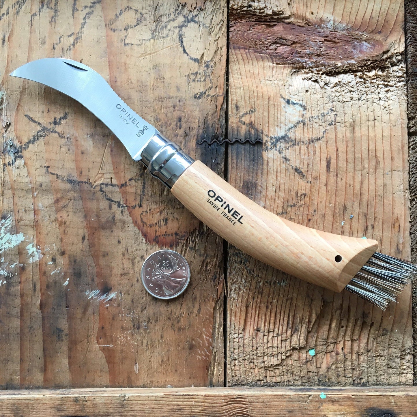 Opinel Inox No.08 Folding Mushroom Hunter's Knife with Brush from Opinel