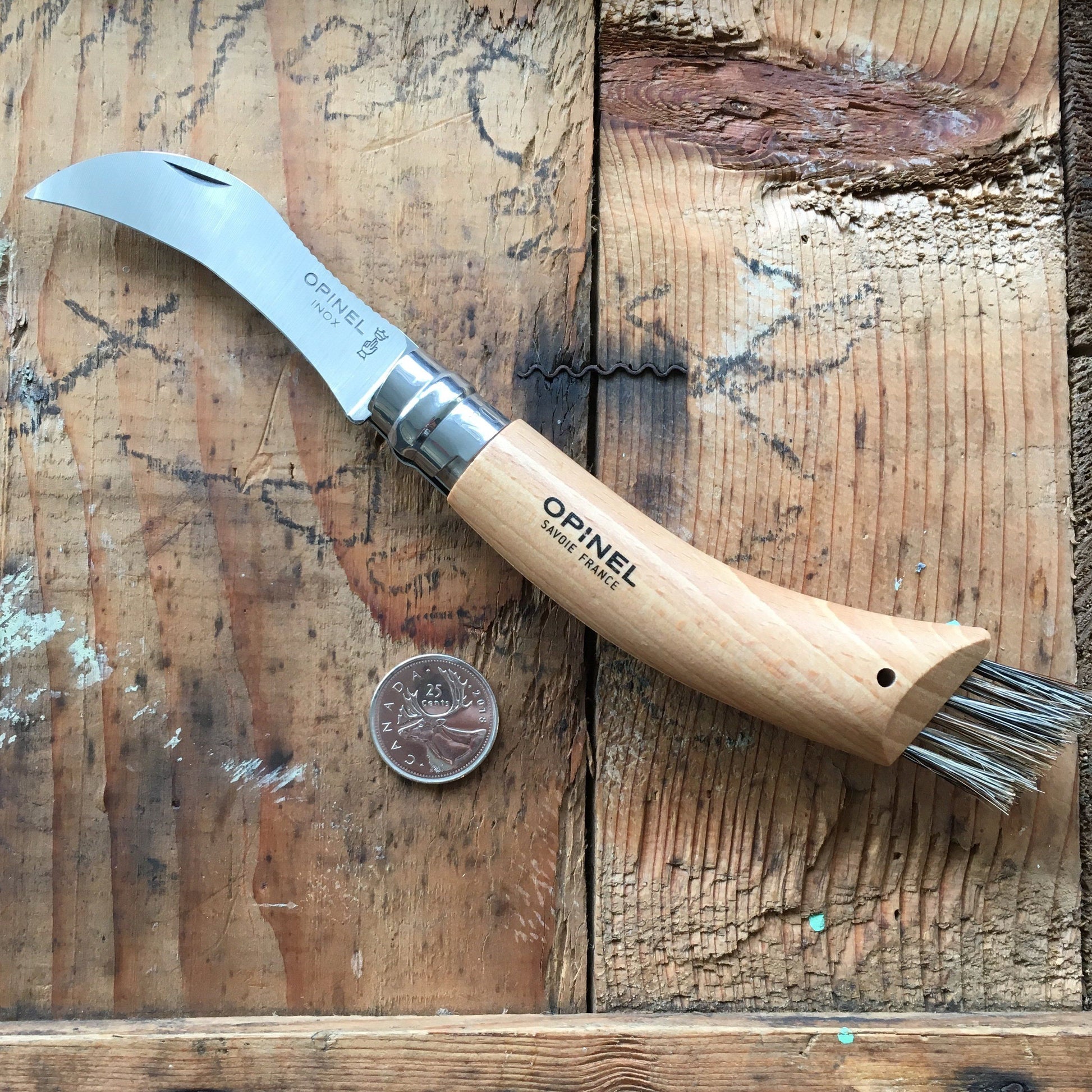 Opinel Inox No.08 Folding Mushroom Hunter's Knife with Brush from Opinel
