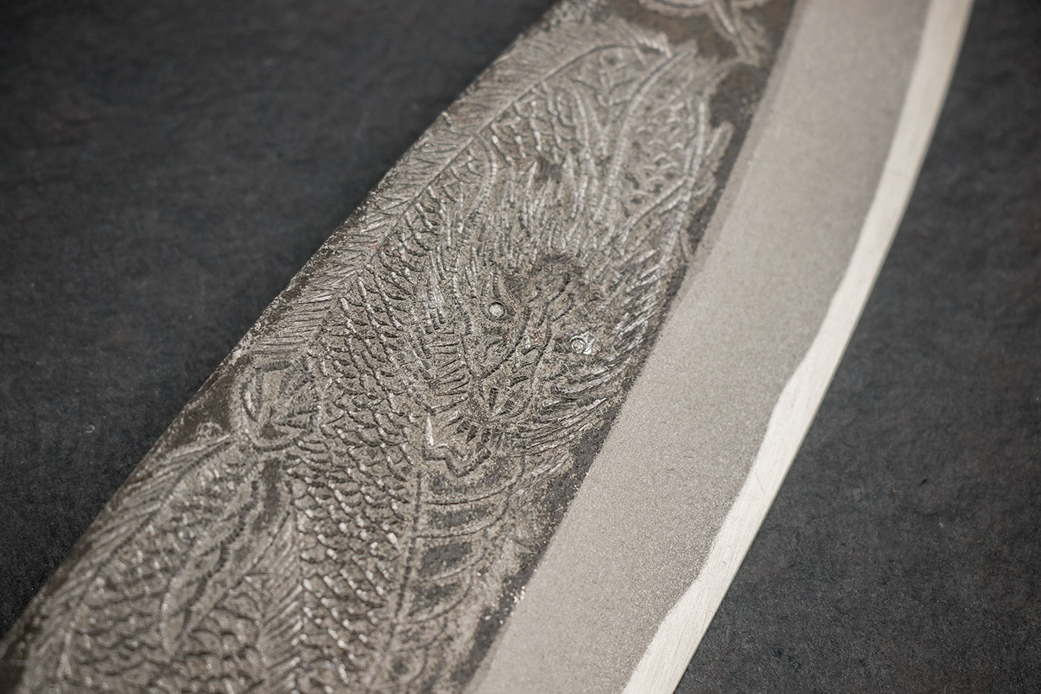 Sakai Takayuki Michiko Special Engraved Kurouchi Deba 210mm "Dragon" from Sakai Takayuki
