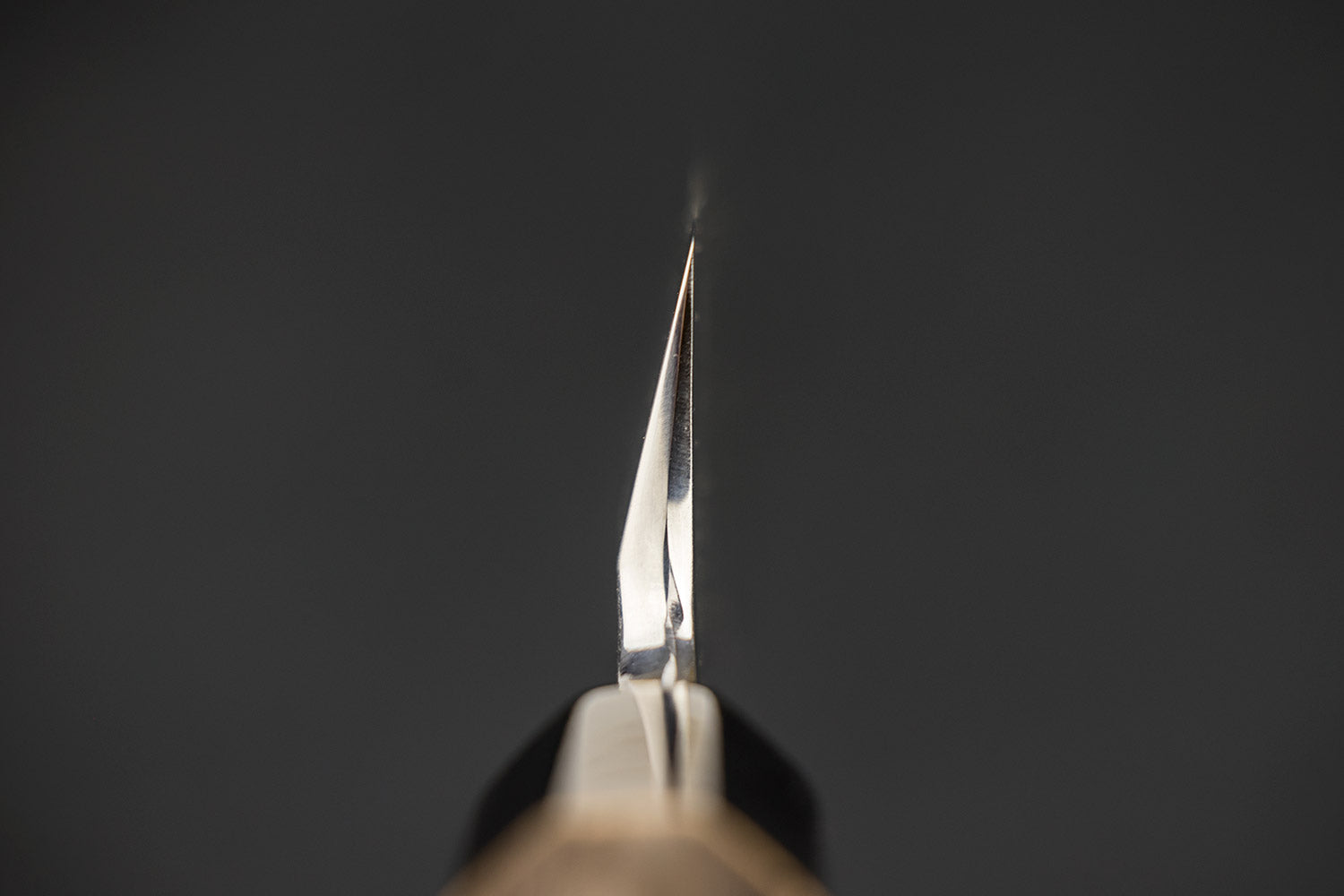 Masashi Shirogami Sakimaru Takobiki 300mm from Masashi Yamamoto