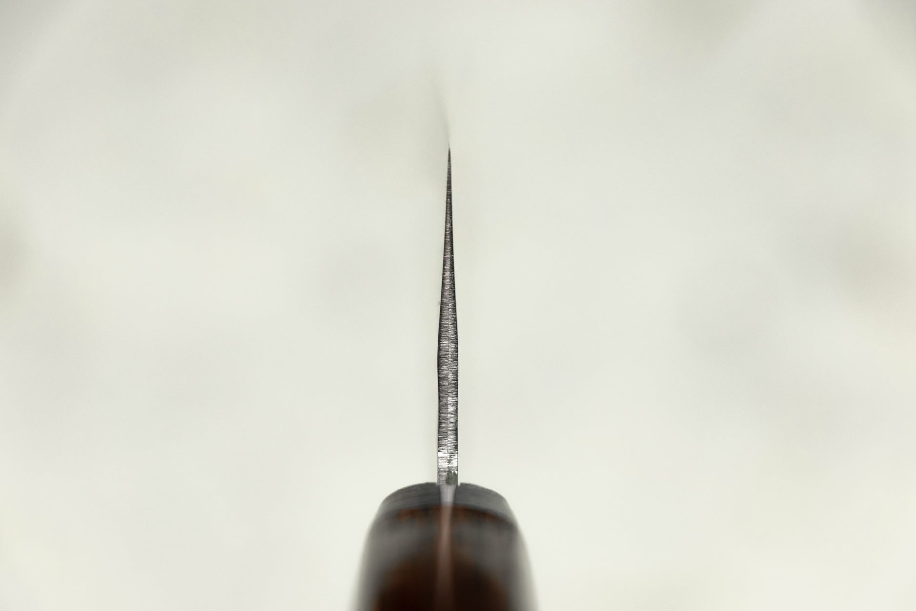 Masutani VG1 Tsuchime Western Gyuto 180mm from Masutani