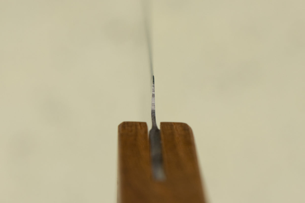Shizu Hamono Morinoki Bread Knife 240mm from Shizu Hamono