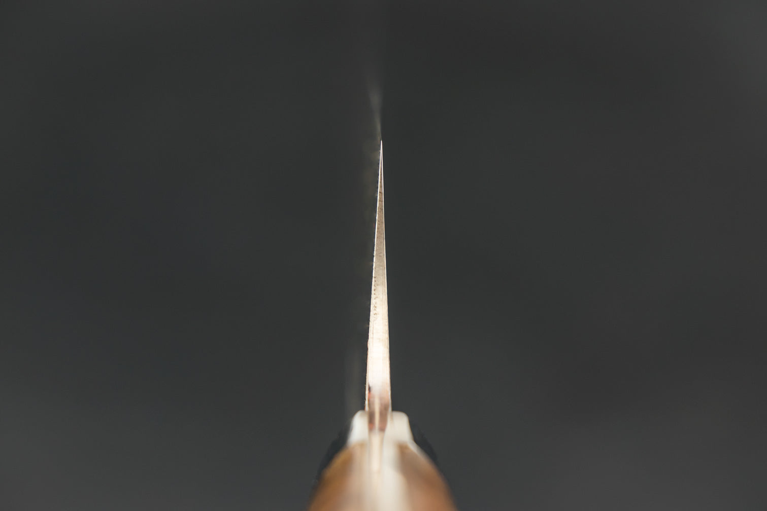 Takeshi Saji VG10W Rainbow Damascus Western Sujihiki 270mm from Takeshi Saji