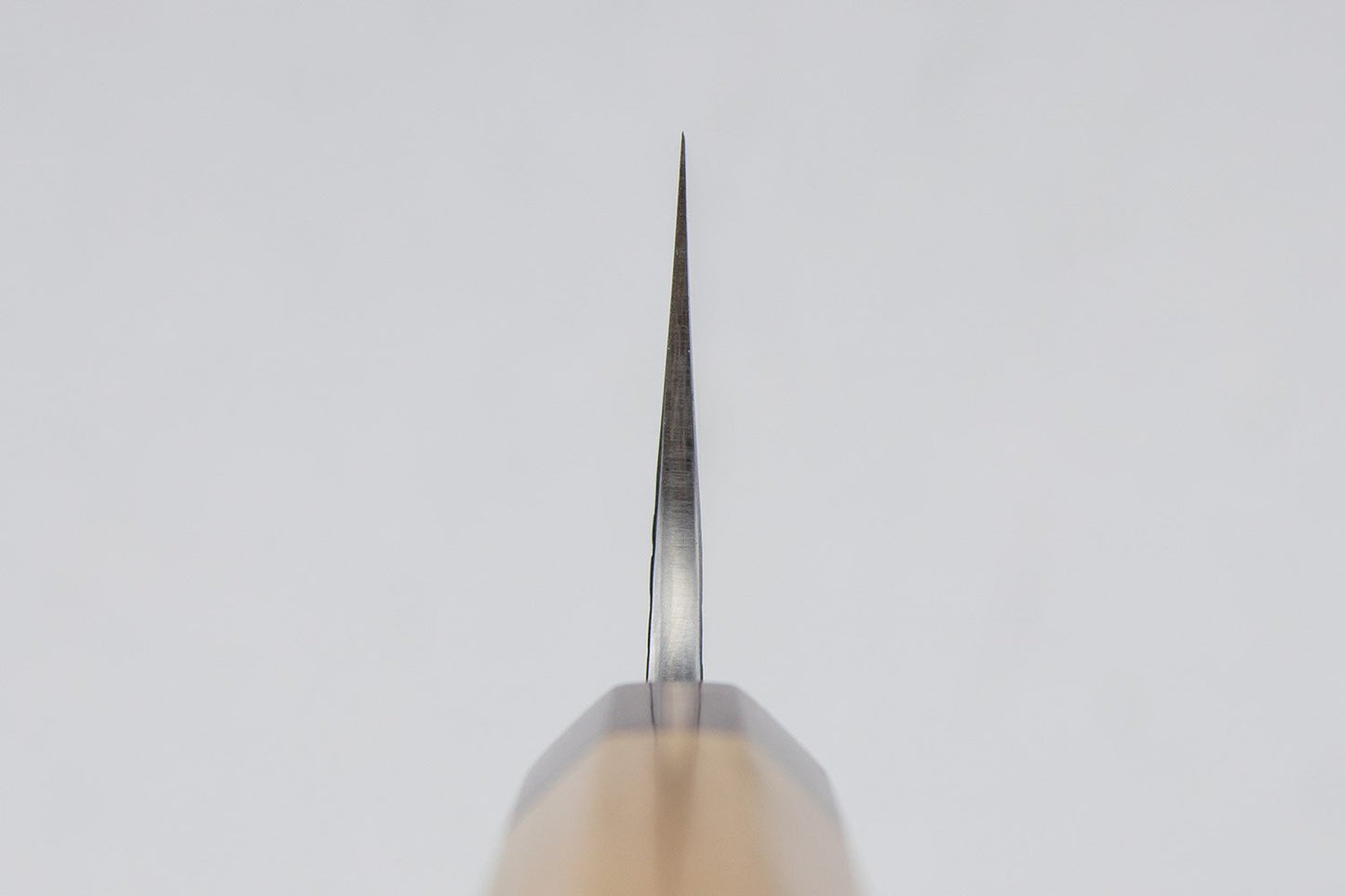 Yu Kurosaki Sasame Gyuto 240mm from Yu Kurosaki