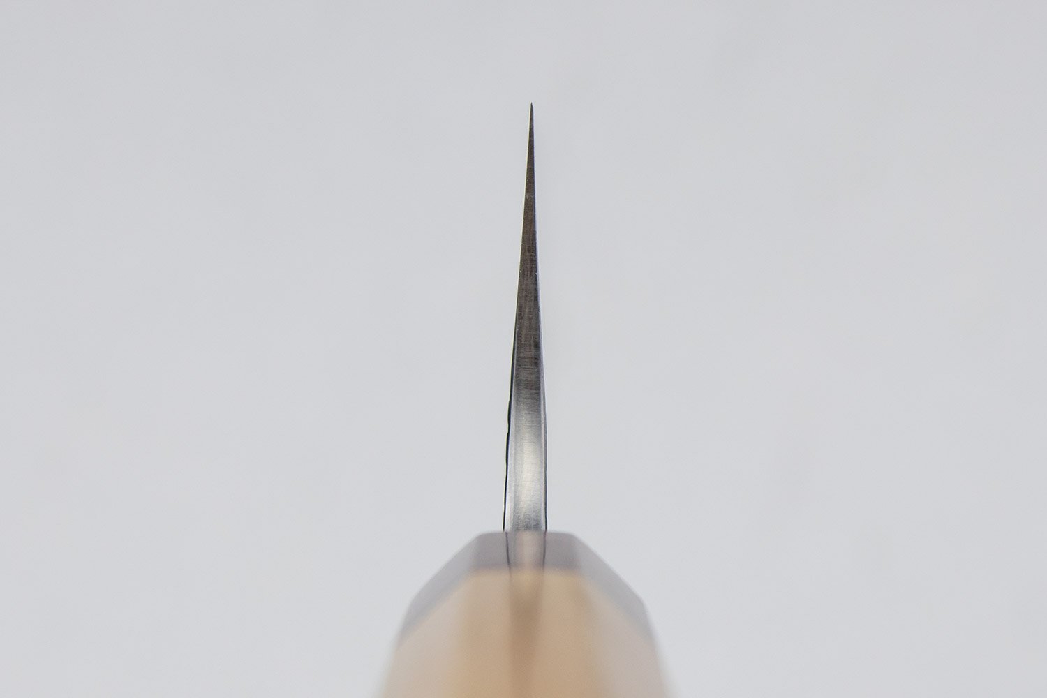 Yu Kurosaki Sasame Gyuto 240mm from Yu Kurosaki