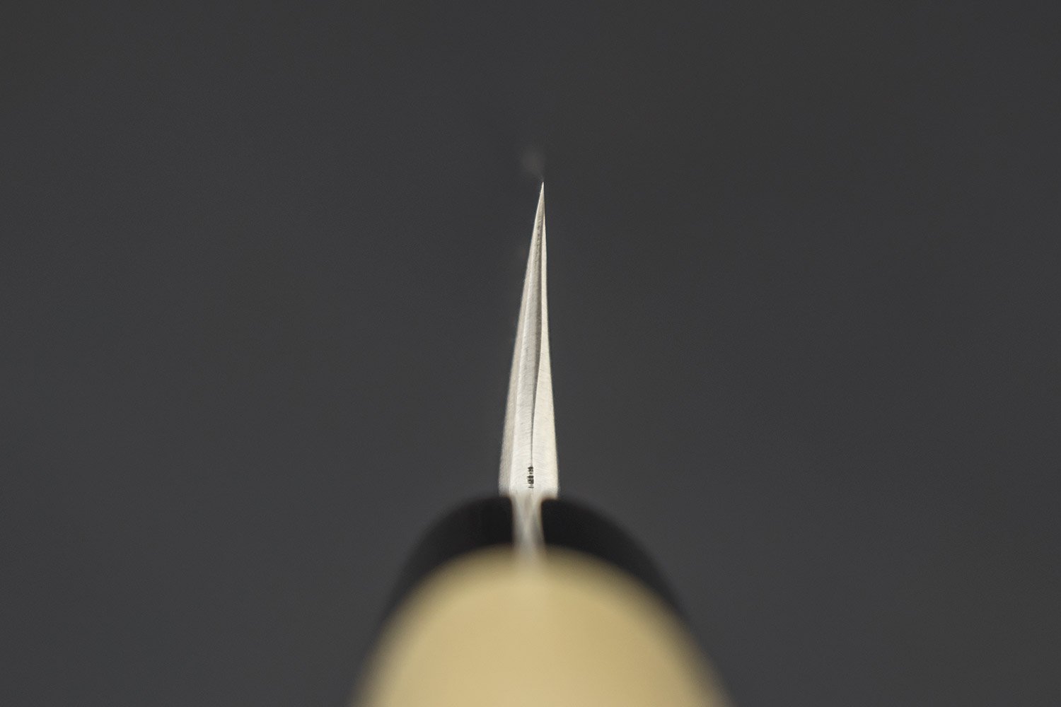 Shigefusa Kitaeji Yanagiba 240mm from Shigefusa
