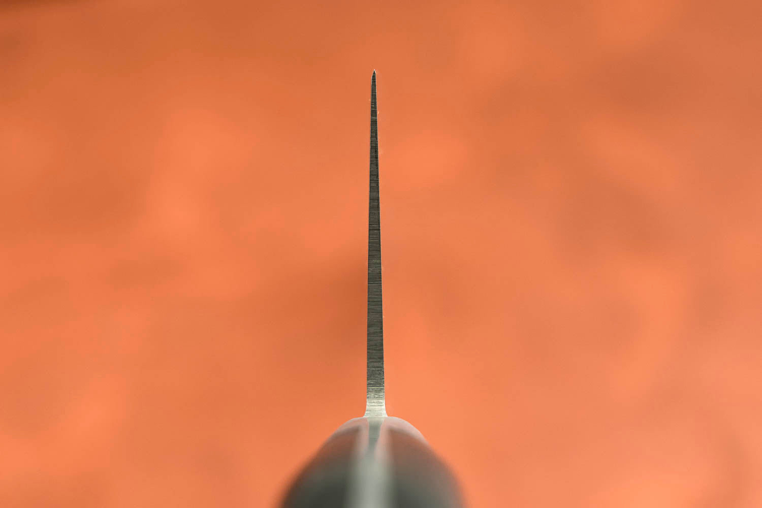 Sakai Takayuki SK4 Gyuto 330mm from Sakai Takayuki
