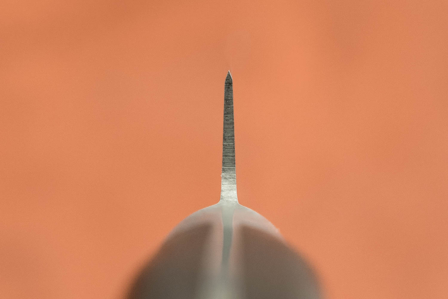 Sakai Takayuki SK4 Sujihiki 210mm from Sakai Takayuki