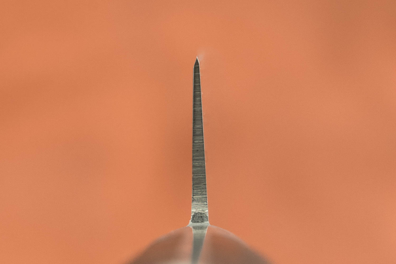 Sakai Takayuki SK4 Sujihiki 240mm from Sakai Takayuki