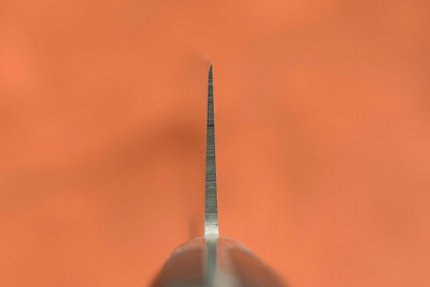 Sakai Takayuki SK4 Sujihiki 270mm from Sakai Takayuki