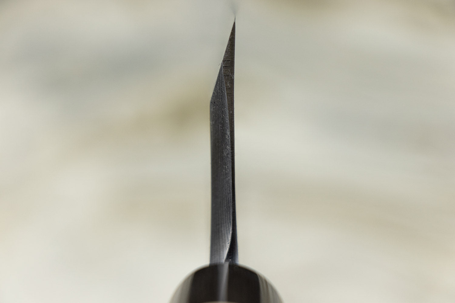 Sakai Takayuki Uzushio Deba 180mm from Sakai Takayuki
