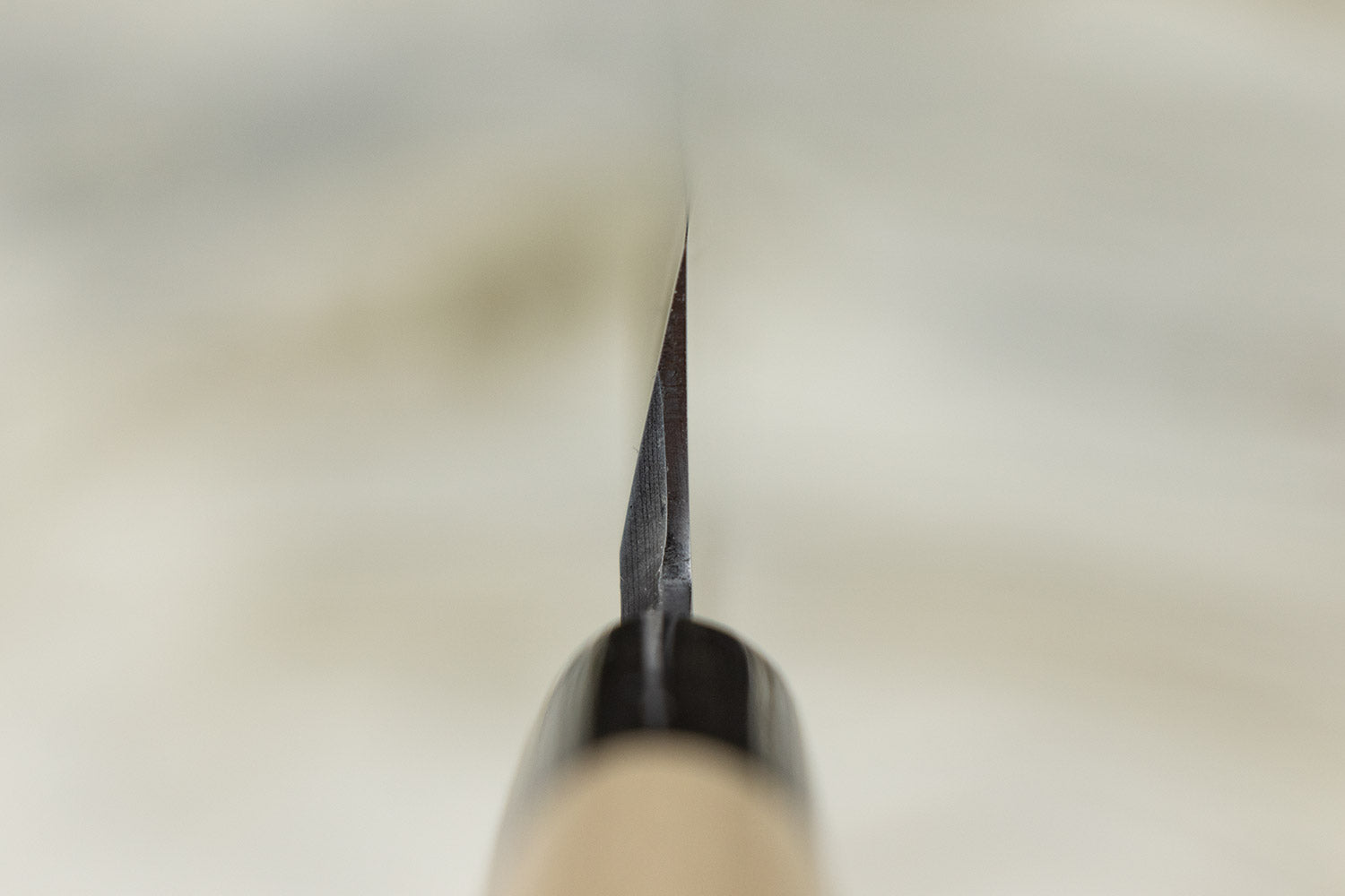 Sakai Takayuki Uzushio Yanagiba 240mm from Sakai Takayuki