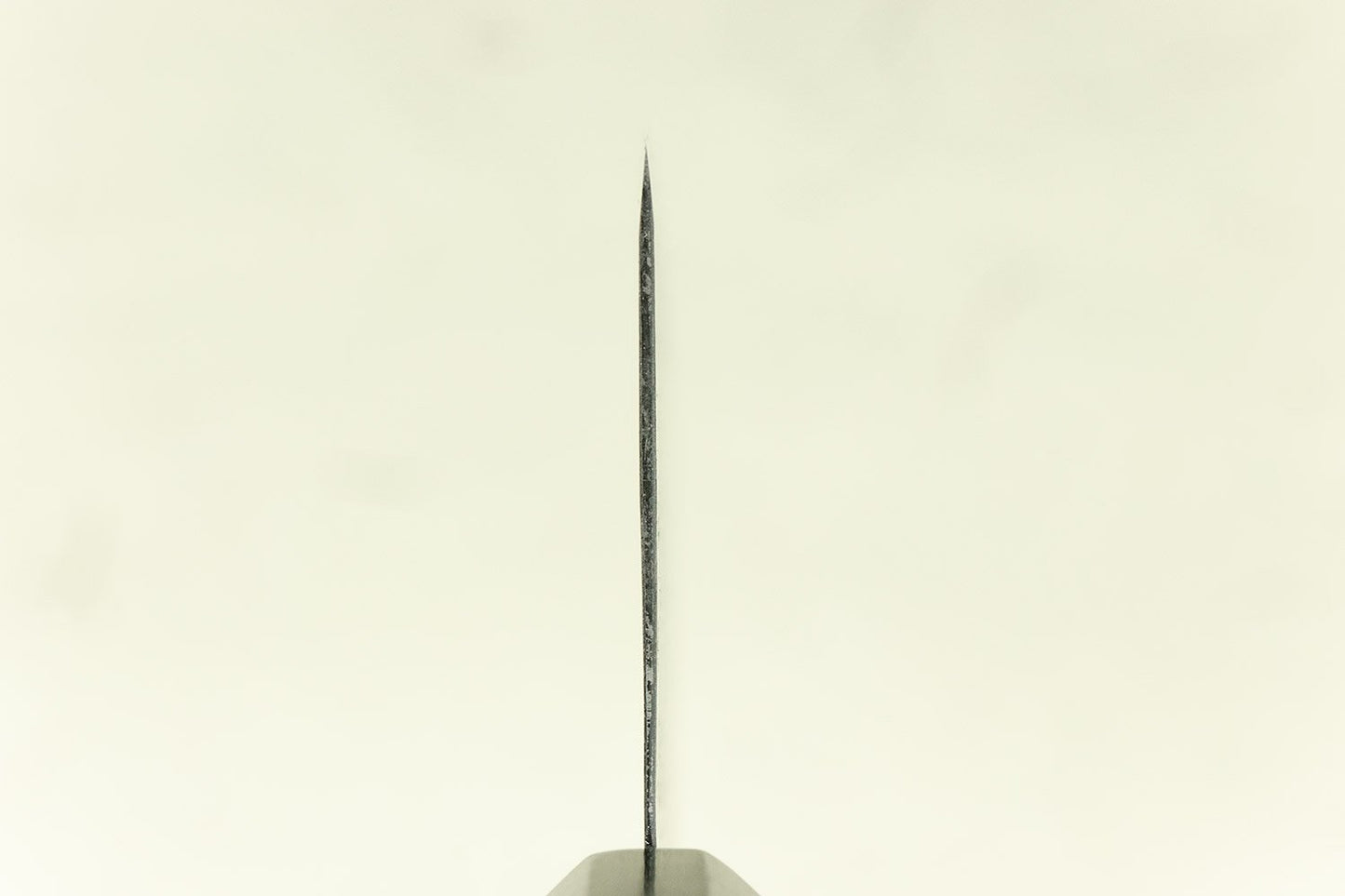 Takeda NAS Gyuto Medium 240mm from Shosui Takeda