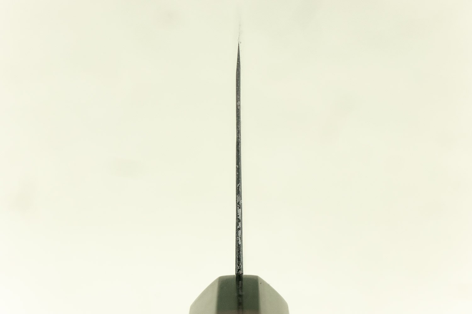 Takeda NAS Gyuto Small 210mm from Shosui Takeda