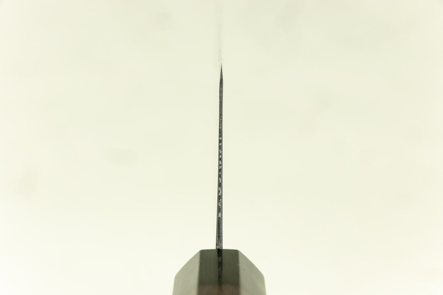 Takeda NAS Bunka 170mm from Shosui Takeda