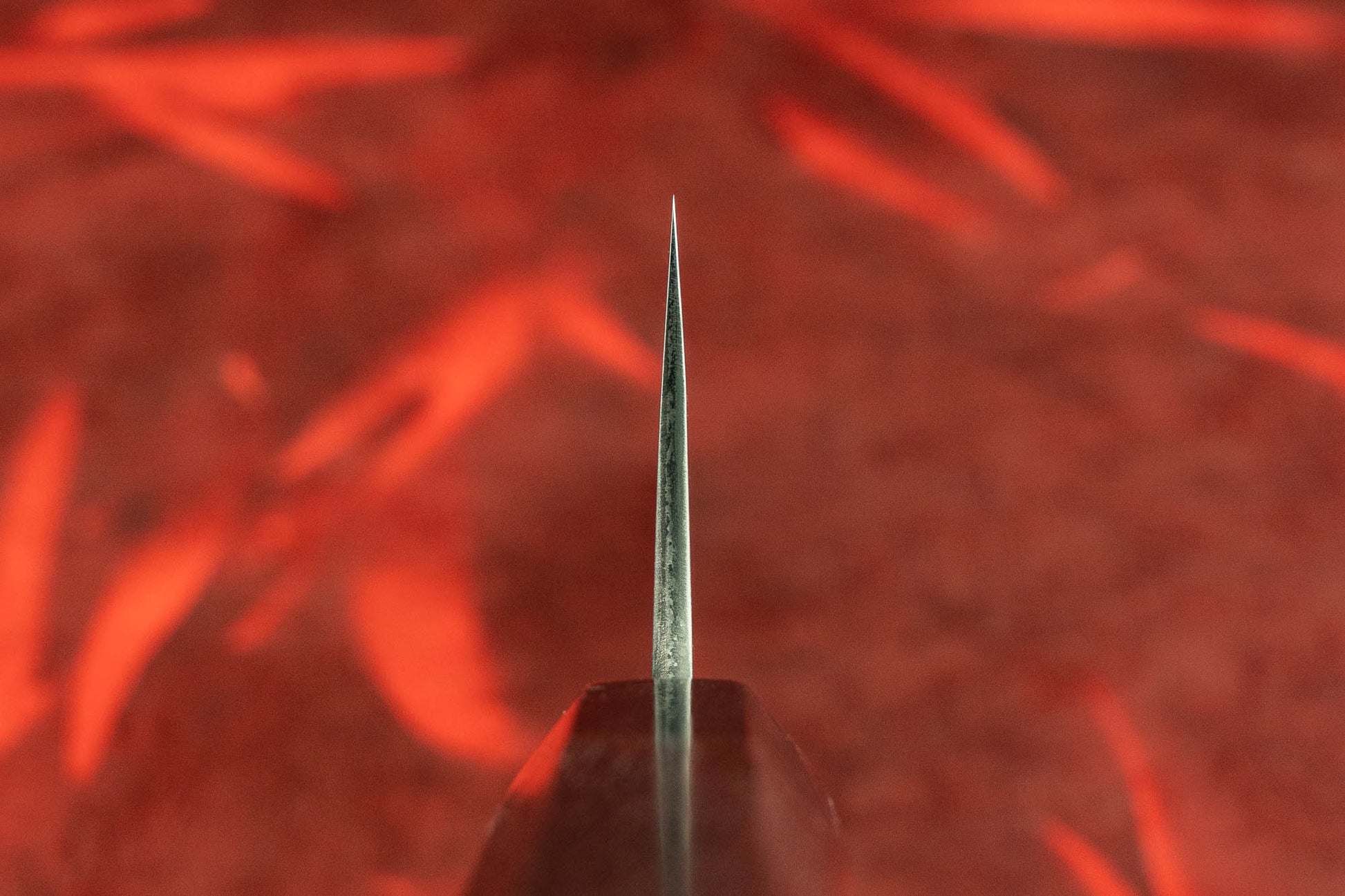 Toshihiro Wakui Shirogami Stainless Migaki Gyuto 210mm from Toshihiro Wakui