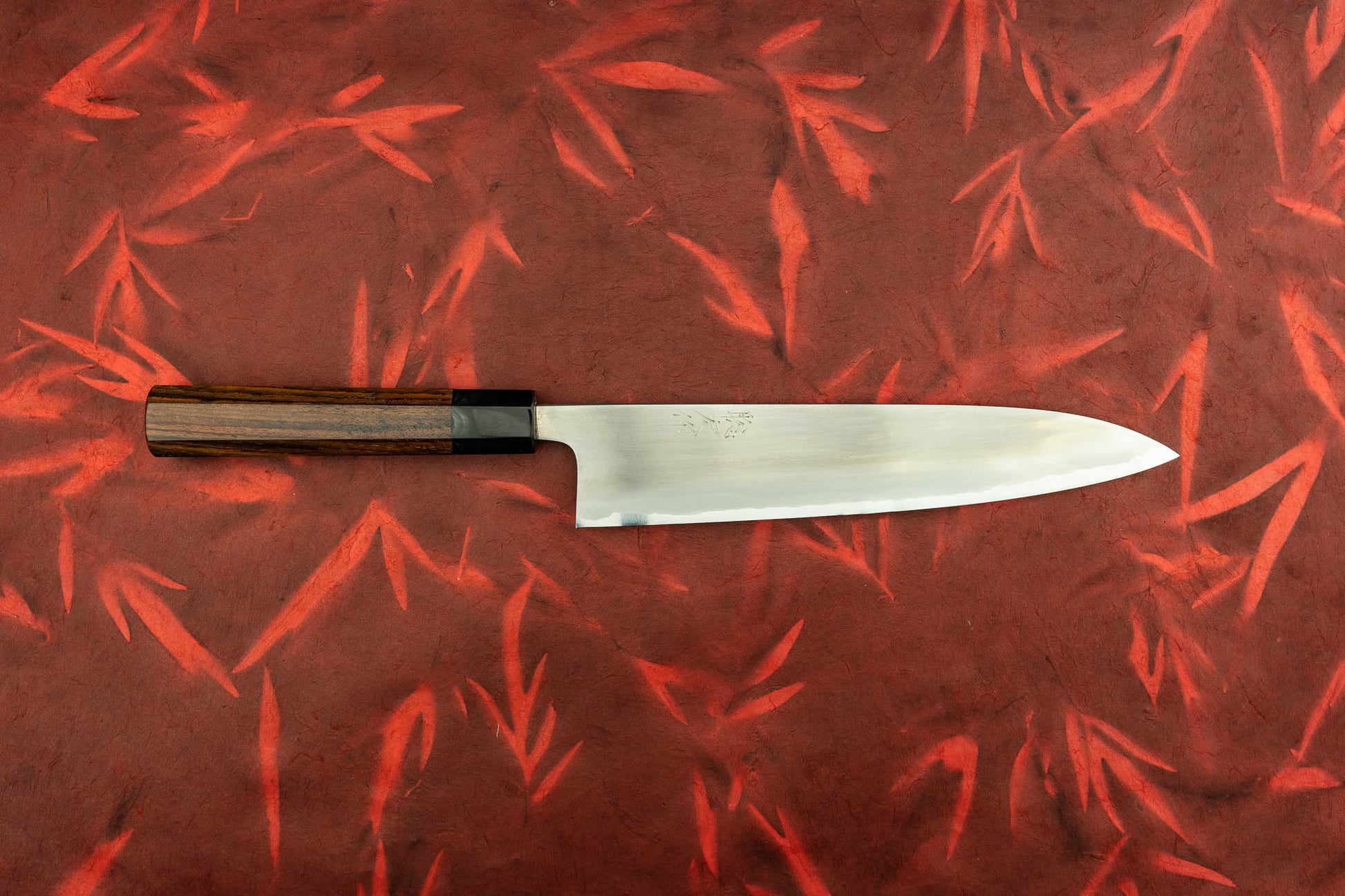 Toshihiro Wakui Shirogami Stainless Migaki Gyuto 240mm from Toshihiro Wakui