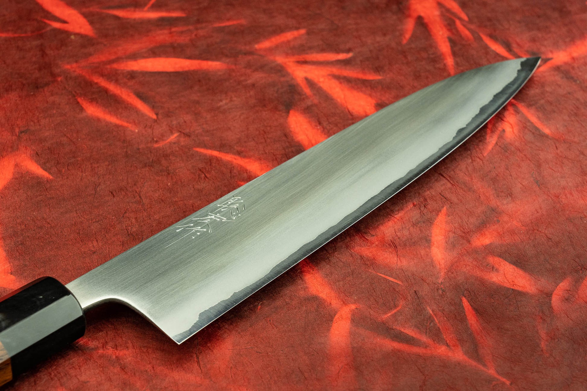 Toshihiro Wakui Shirogami Stainless Migaki Gyuto 240mm from Toshihiro Wakui