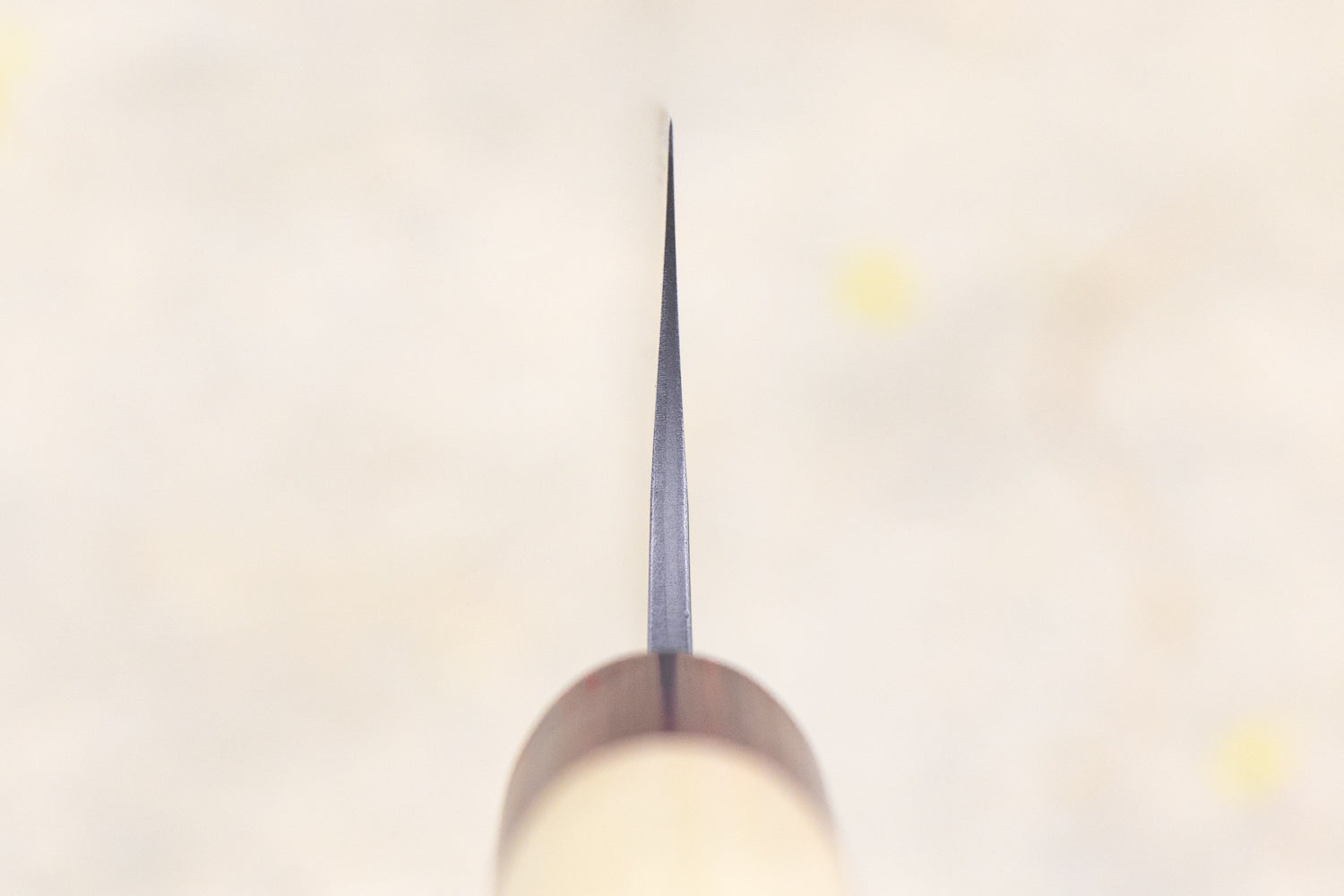 Masakage Yuki Gyuto 210mm from Masakage