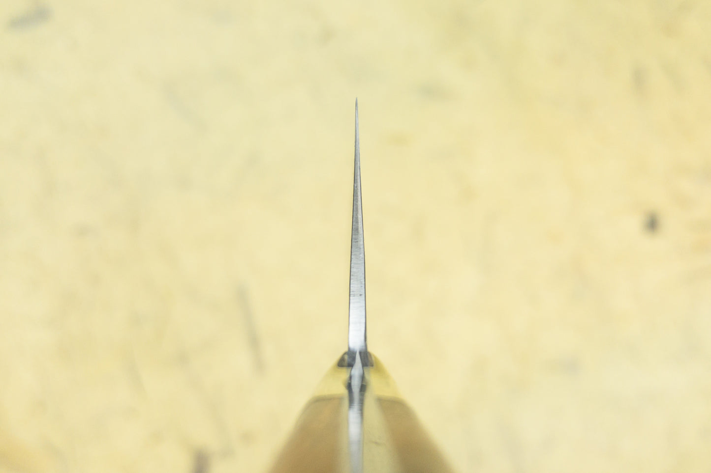 Masakage Zero Gyuto 210mm from Masakage
