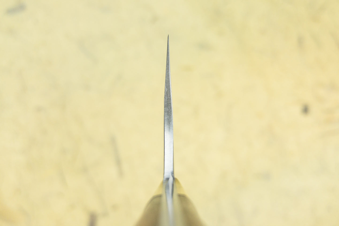 Masakage Zero Gyuto 240mm from Masakage