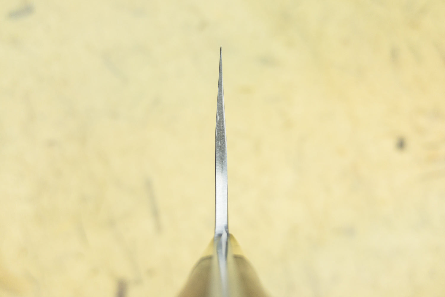 Masakage Zero Gyuto 240mm from Masakage